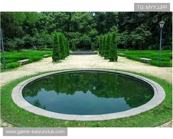 武汉三镇的一次远传精准找到前场落点