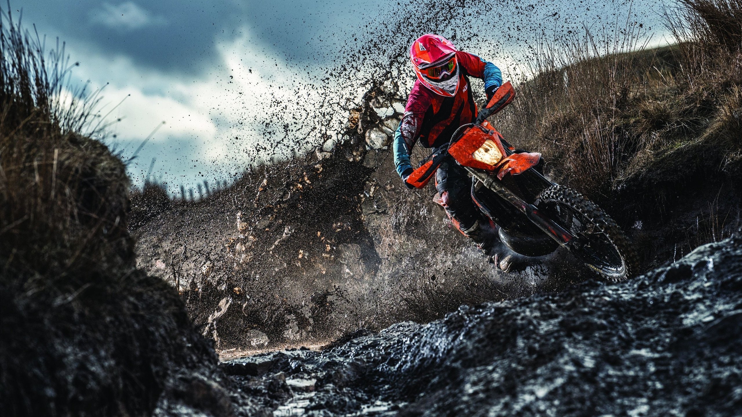 综合体育系“校园运动IP策划赛” 为院系打造专属品牌赛事